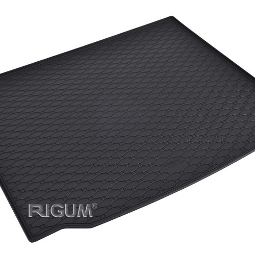 Tipski podmetači / kadice za gepek za BMW X3 2018- RIGUM patosnice