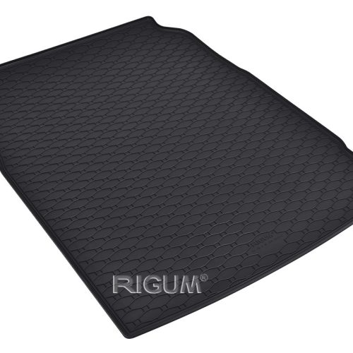 Tipski podmetači / kadice za gepek za BMW 5 limuzina 2010- RIGUM patosnice