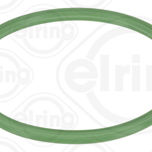 ELRING Brtva crijeva zraka BMW F10 E90 G30 X5 X6 720.580